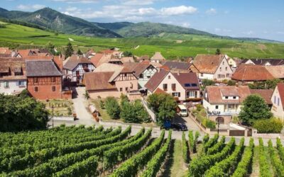 Itinéraire mythique, la route des vins d’Alsace