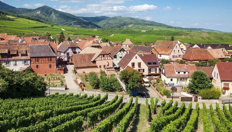 Vignoble et village d'Alsace