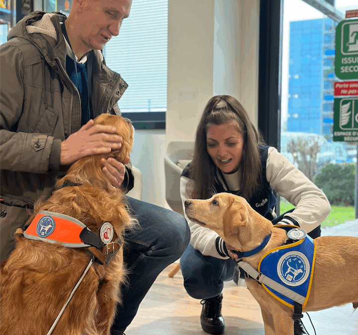 Concilier vie professionnelle et handicap